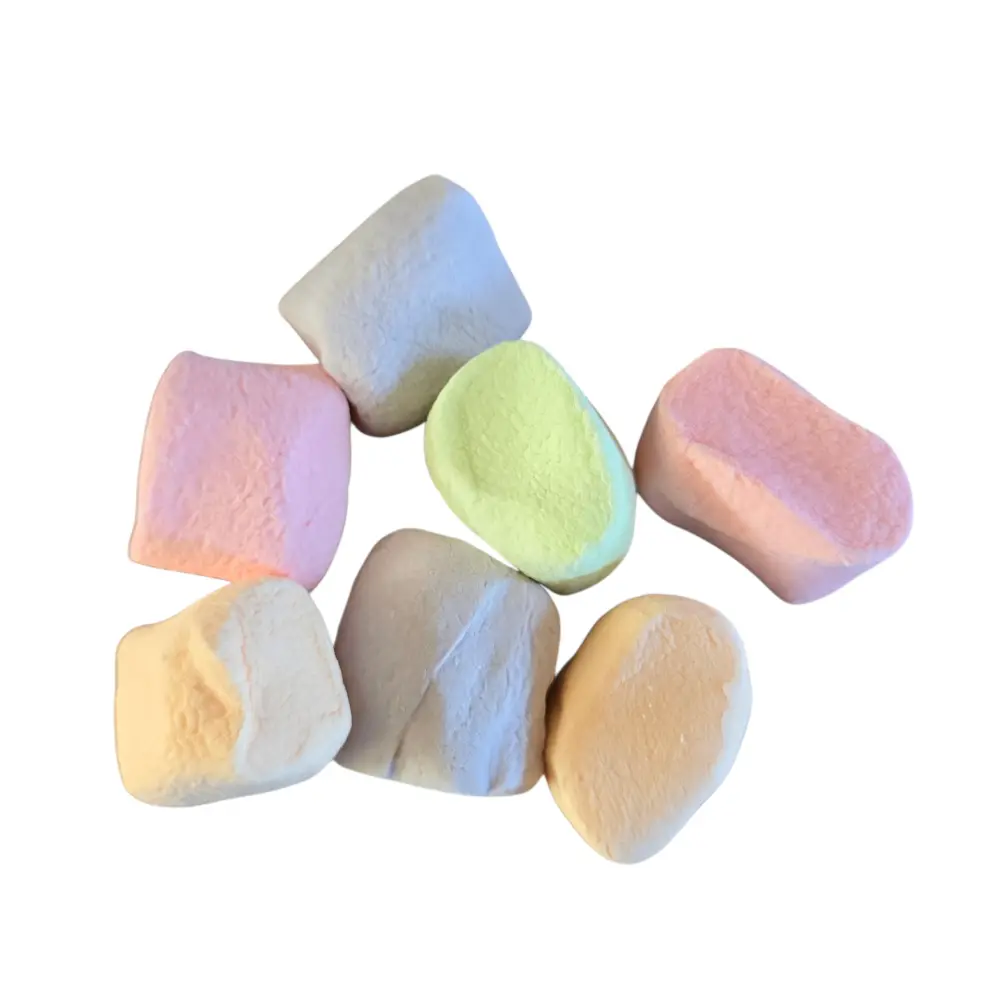 Halal Gecertificeerde Marshmallows Pastel Assorti – ±16 Stuks per 100 Gram