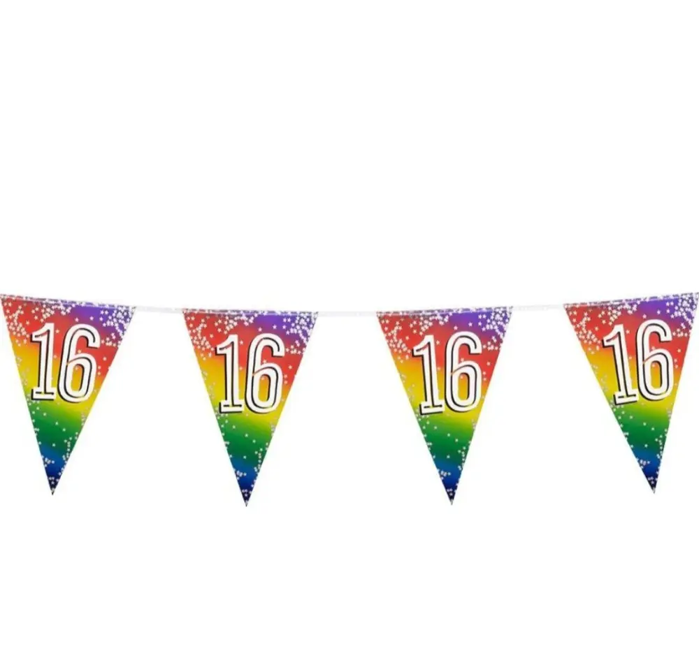 Vlaggenlijn 16 jaar regenboog
