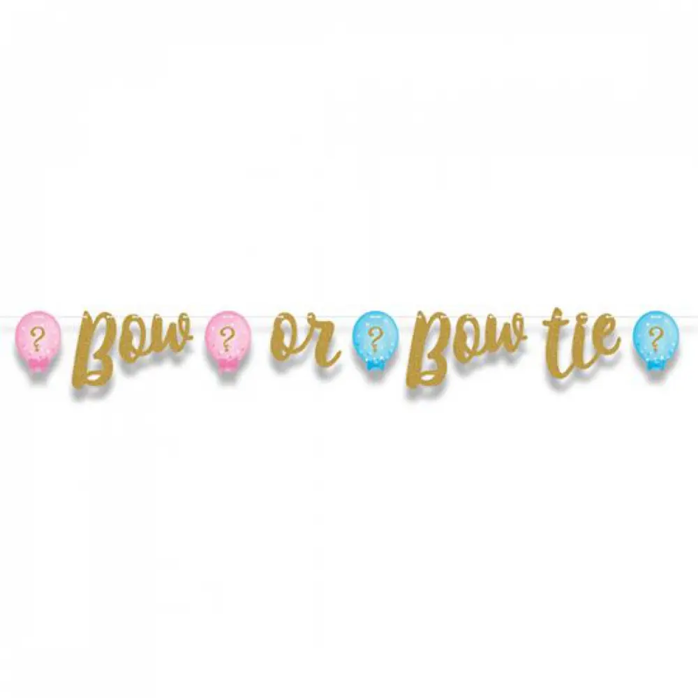 Gender Reveal banner 163cm