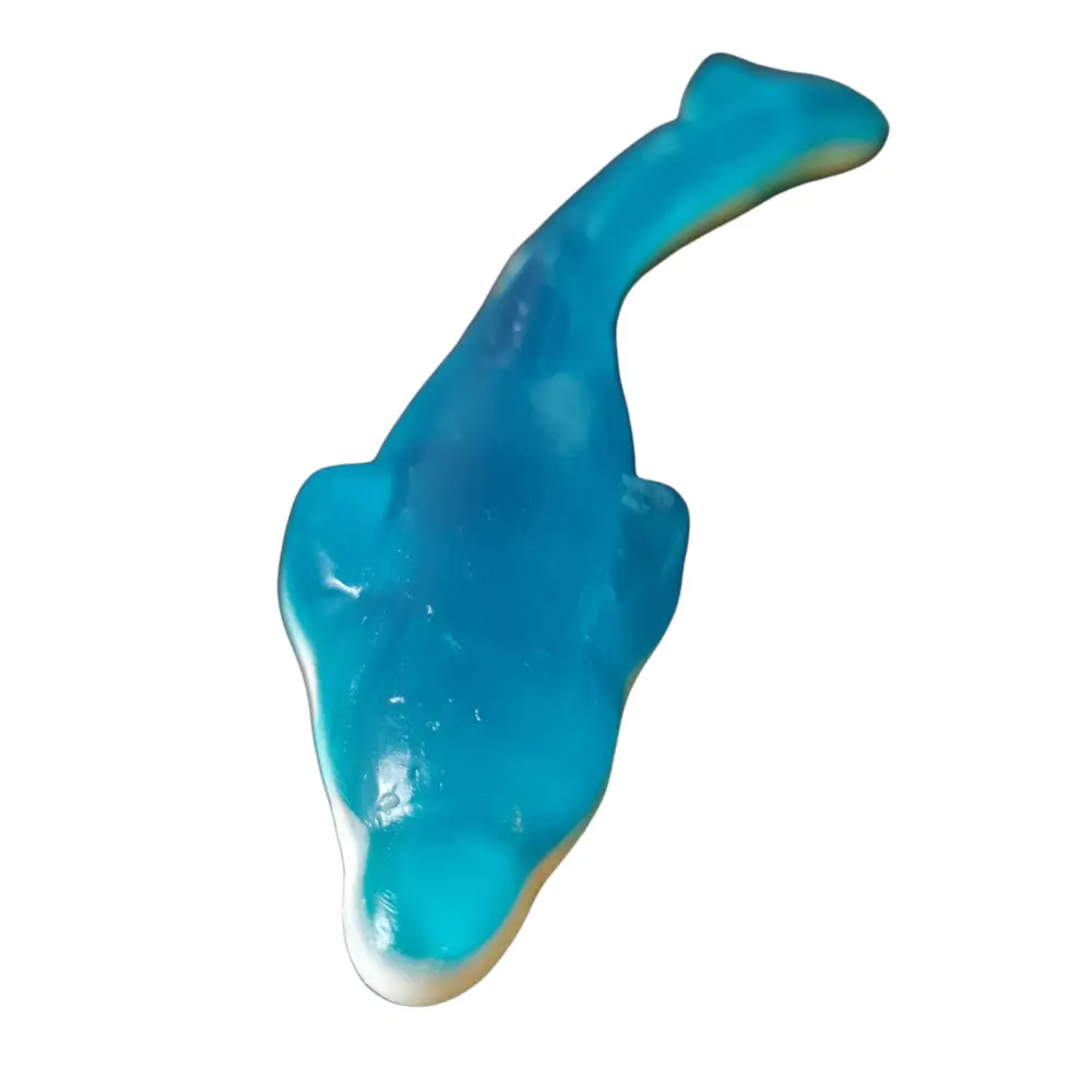 Reuze Dolfijn Snoep – Jelly (17 cm)