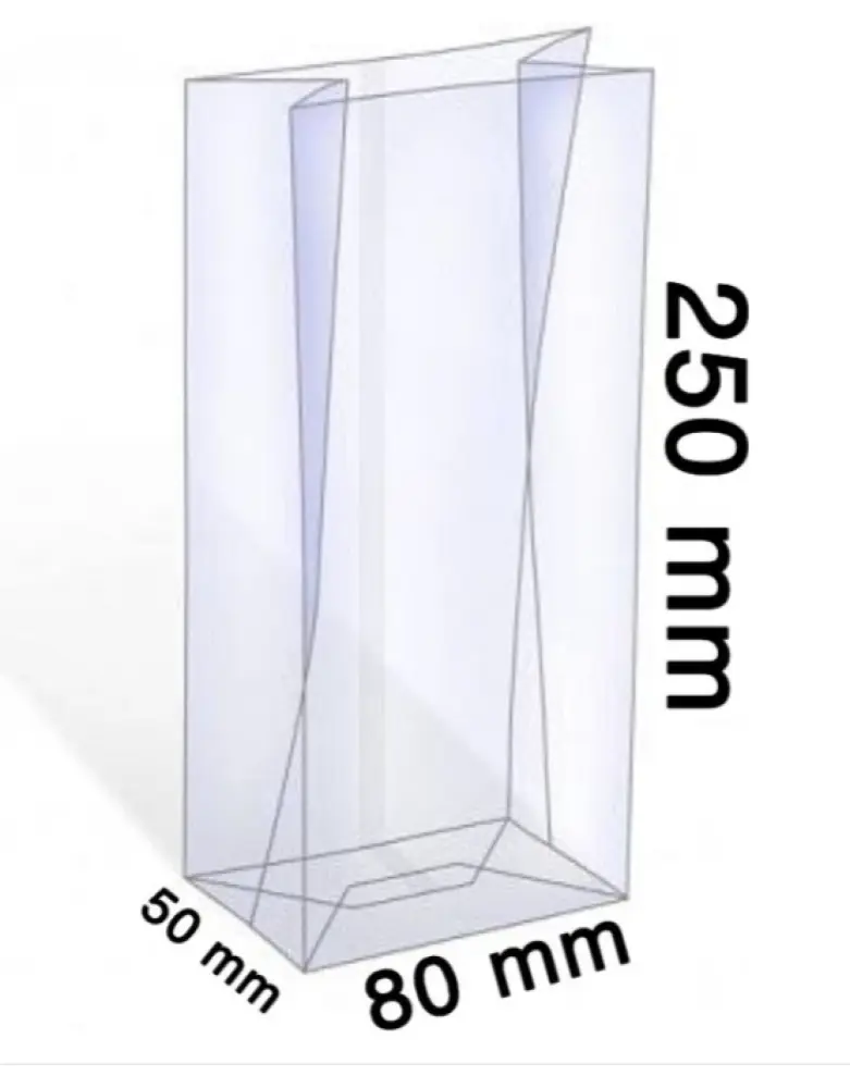 Transparante blokbodemzakjes 10 stuks afmeting 250x80x50mm