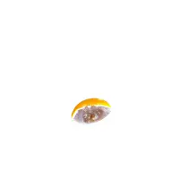 Afbeelding 4