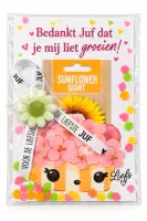 Afbeelding 3