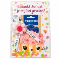 Afbeelding 5