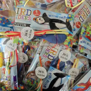 Vliegende Vogel Traktatie – 6 Verschillende Varianten met Snoep, Ballon, Lint en Sticker