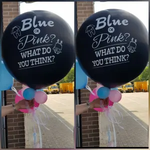 Ballon geslachtsbepaling Gender Reveal 