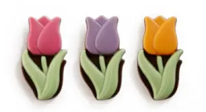 Chocolade Tulpen assorti (puur)