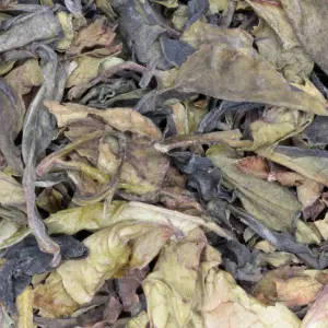  Bai Mu Dan: Een Subtiele Schoonheid uit Myanmar thee 50-gram biologisch 