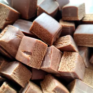 Fudge Chocolade 100 gram