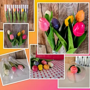 Chocolade tulp diverse kleuren in een koker. Prijs is per stuk.