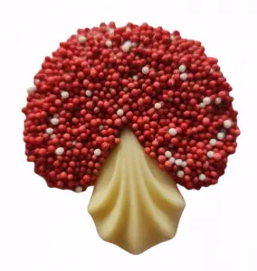 Herfst chocolade paddenstoeltjes 100 gram 