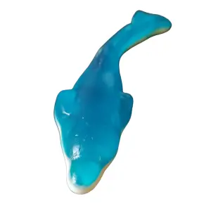 Dolijnen-snoep prijs is per stuk Glutenvrij 17cm