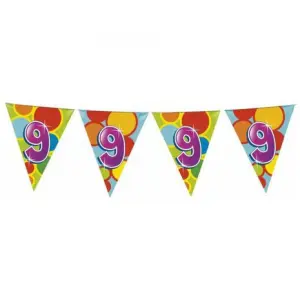 Vlaggenlijn 9 jaar plastic