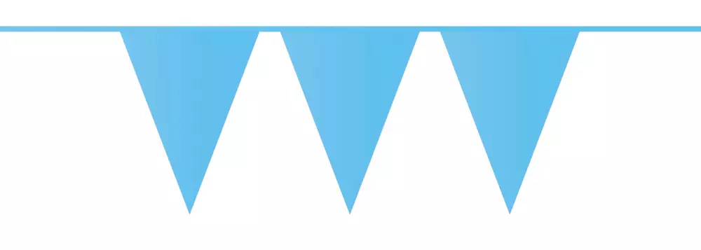 Vlaggenlijn blauw 10 meter