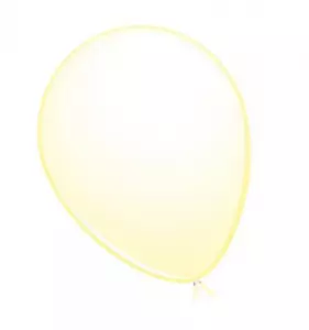 Ballon transparant 10 stuks