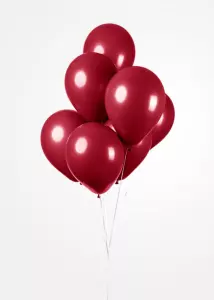 Ballonnen - Burgundy / Bordeaux rood - 10 stuks, 30 cm