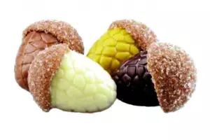 Herfst chocolade praline eikeltjes in vier verschillende kleuren  100 gram