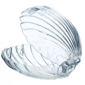 Transparante Plexi Schelpdoos – Een Zeemeerminnen Droom! 💎🧜‍♀️