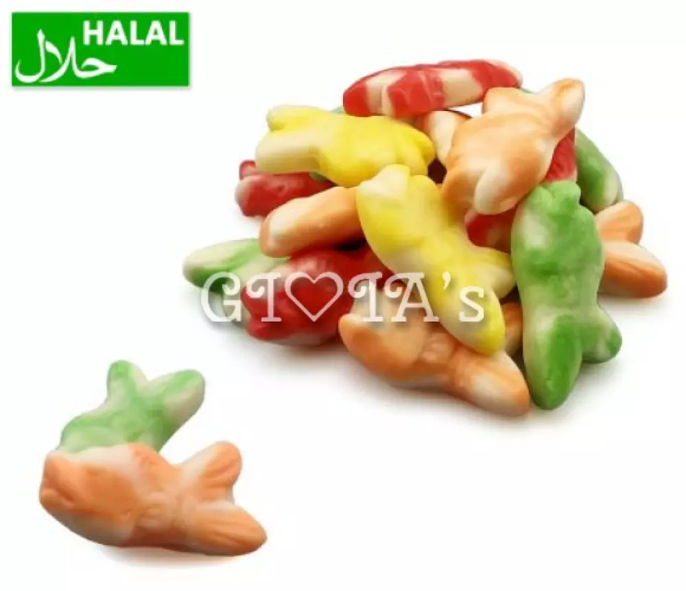 Vrolijke Jelly Visjes in Regenboogkleuren - Halal