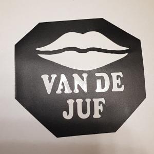 Afbeelding 8