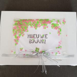Afbeelding 15