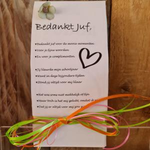 Juffencadeautje Fudge