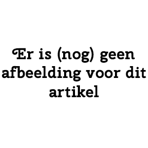 Afbeelding 2