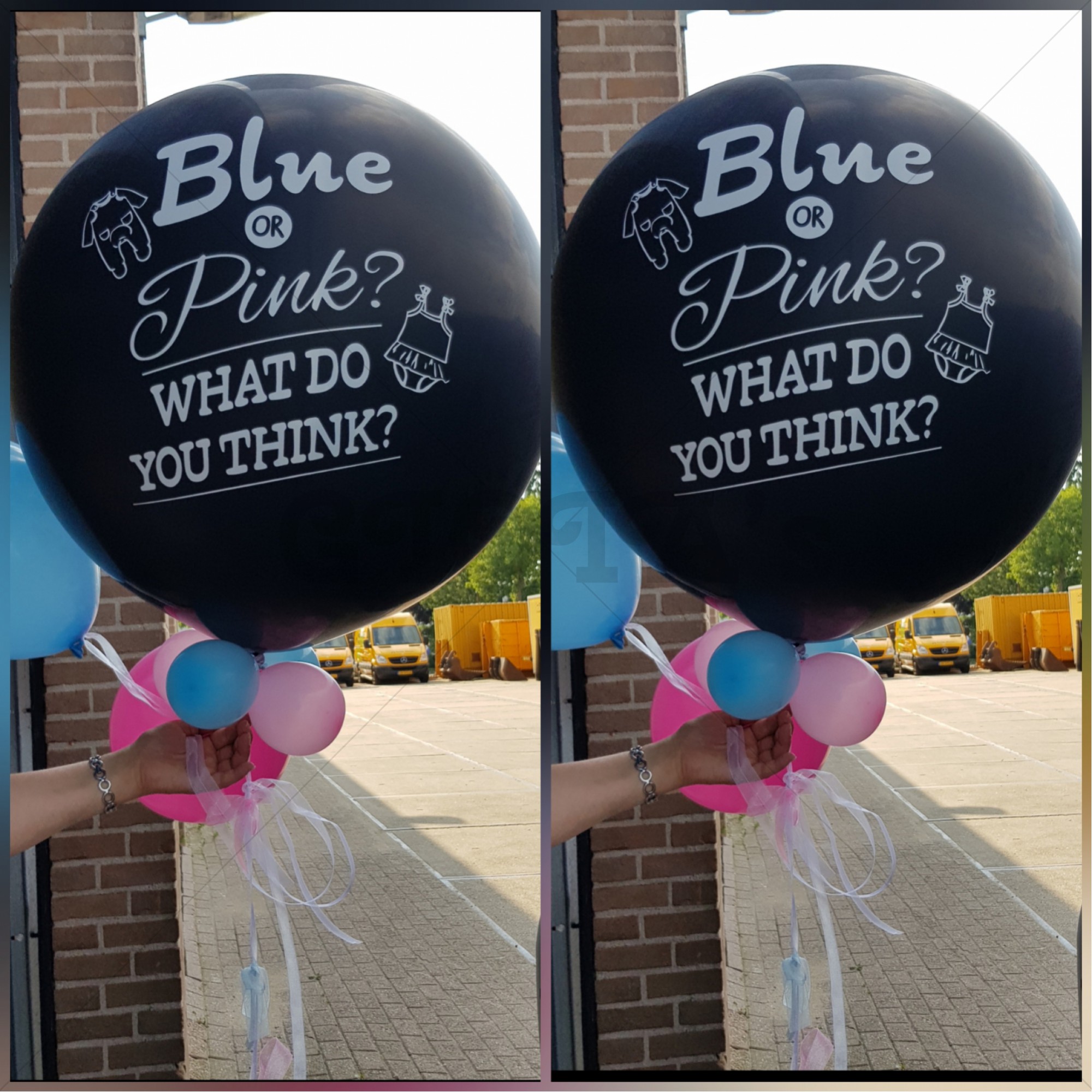 Ballon geslachtsbepaling Gender Reveal