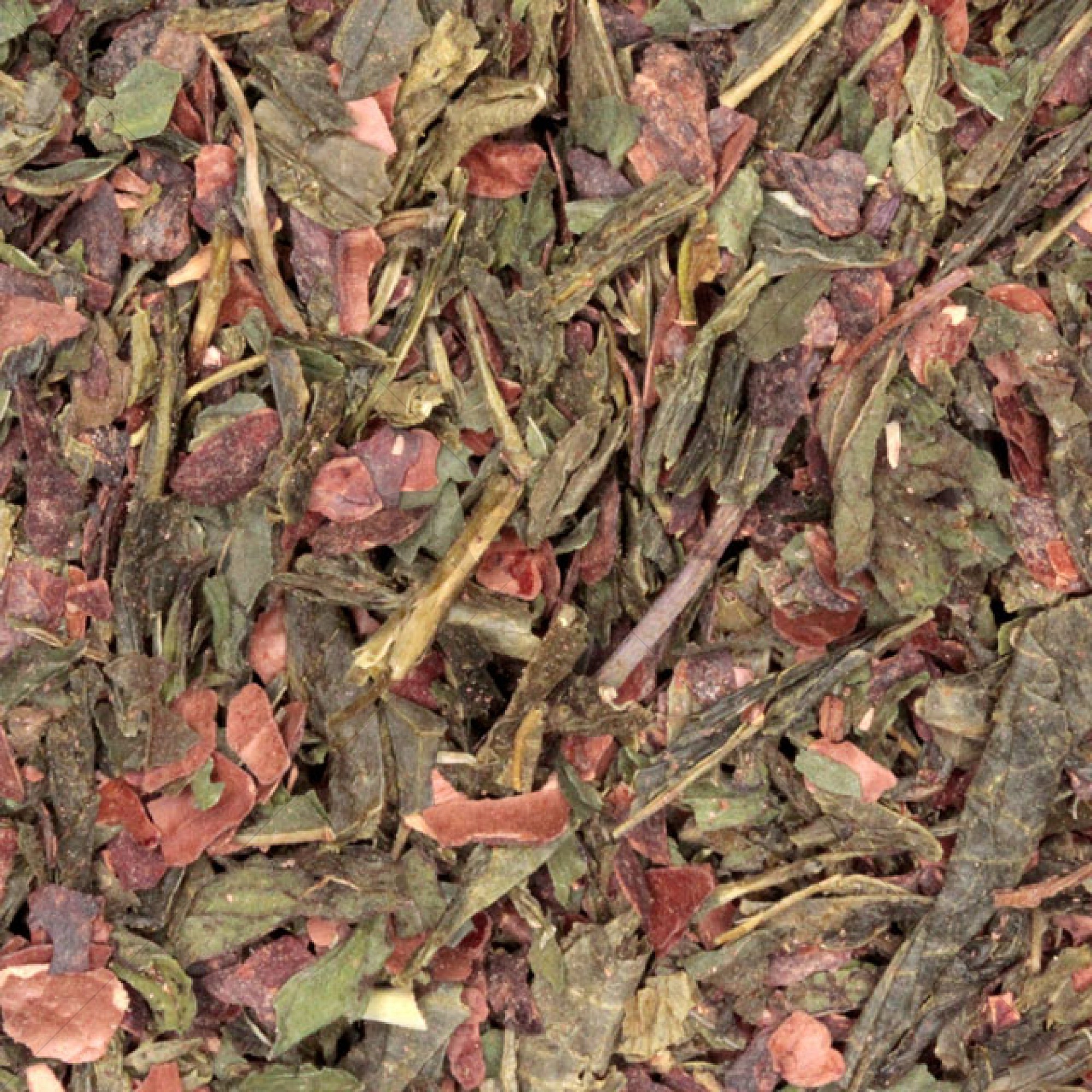 Mint en Choco thee 50-gram (biologisch-groene)