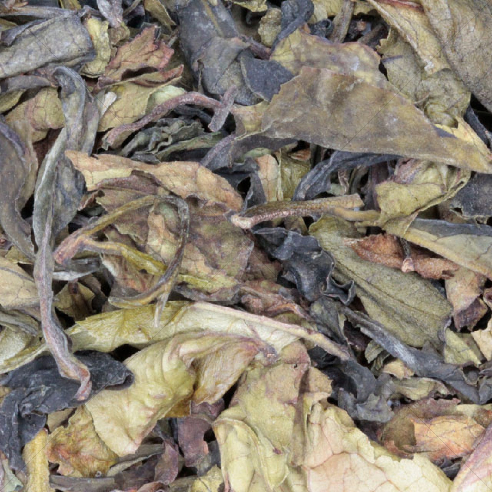 Bai Mu Dan thee 50-gram (biologische).
