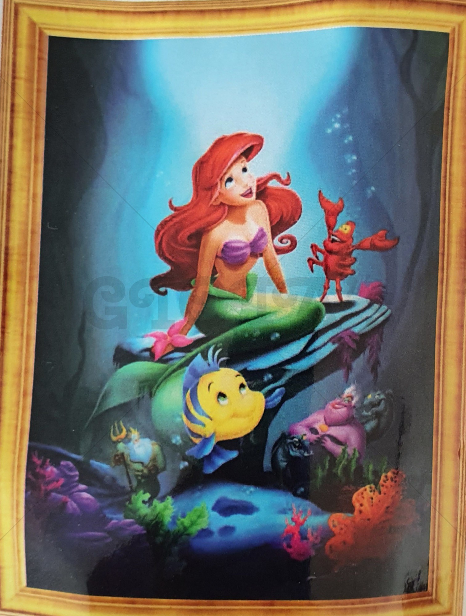 Diamond Painting Zeemeermin 30 x 40 cm
