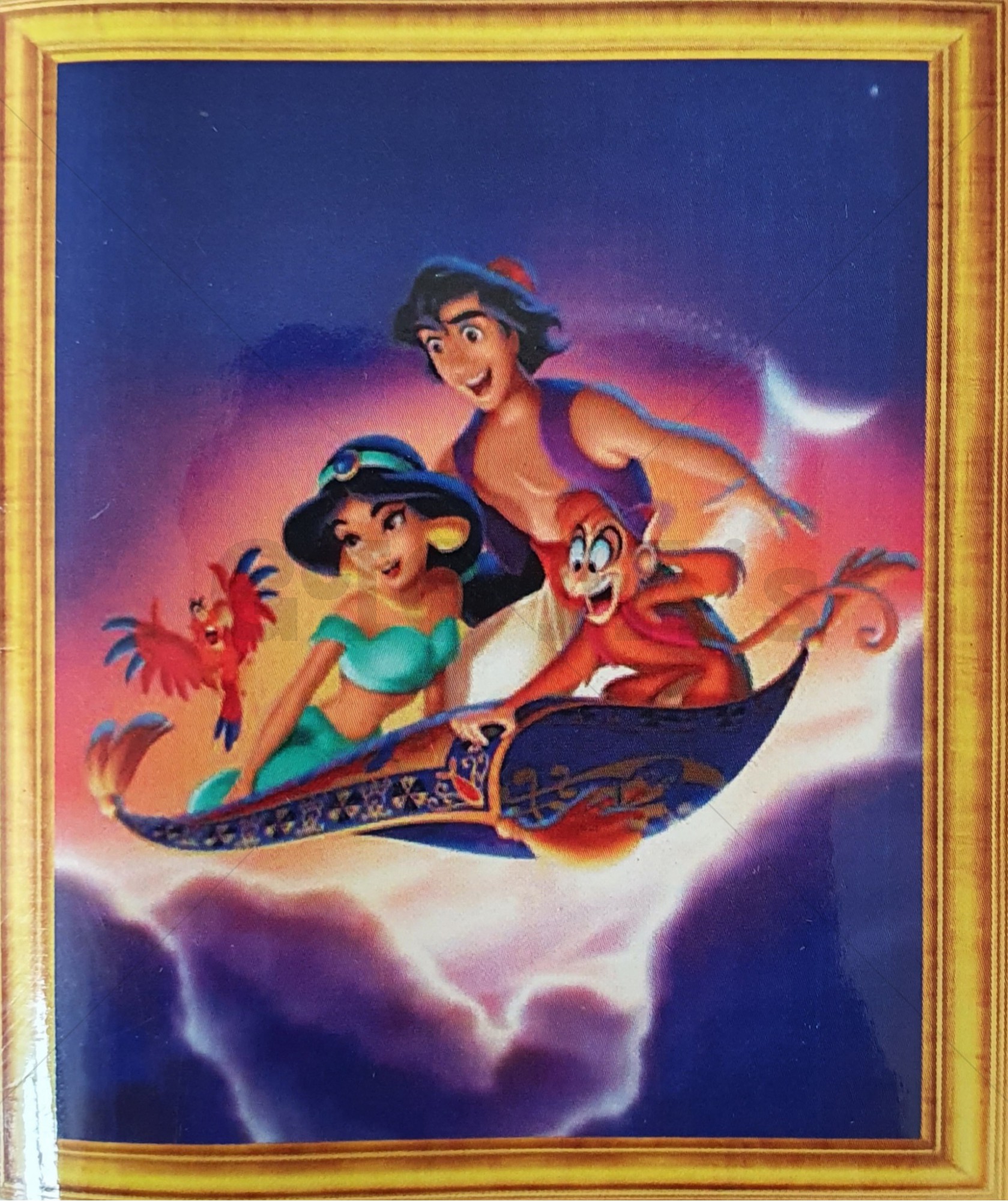 Diamond Painting Aladdin en Jasmin 46 x 56 cm