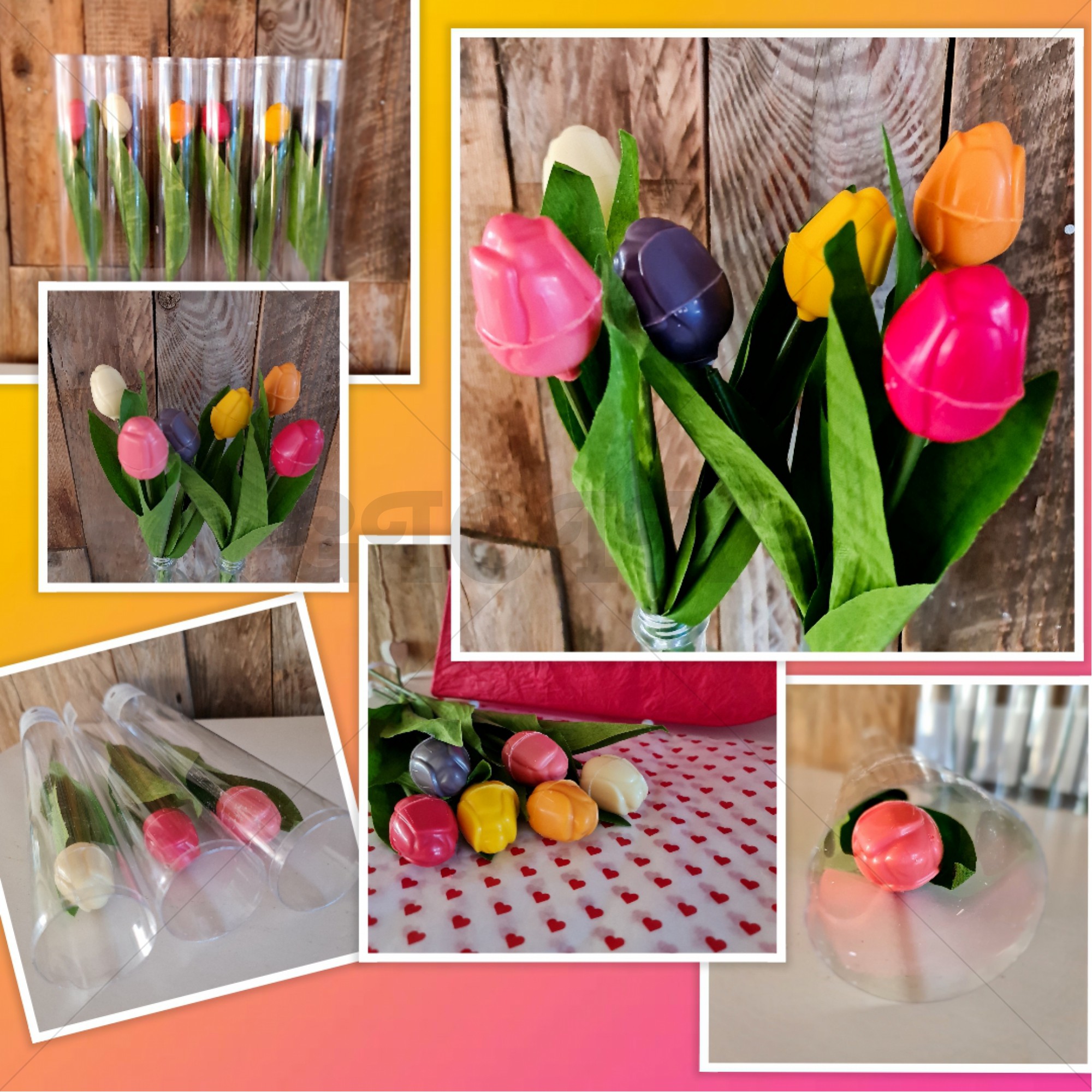 Chocolade tulp diverse kleuren in een koker. Prijs is per stuk.