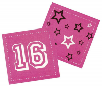 Overige themafeest